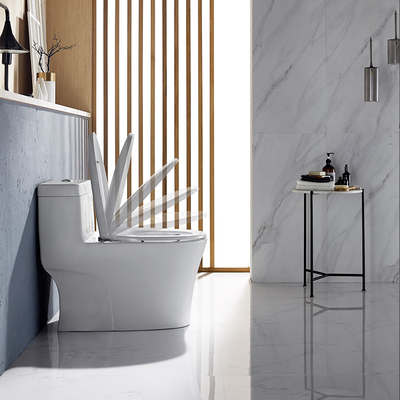 Sanitary Ware One Piece Toilets , Soft Closed Dual Flush S Trap Wc