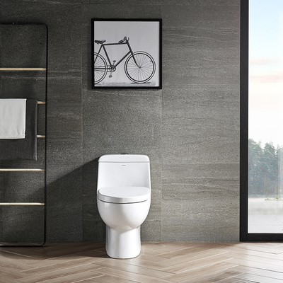 Soft closed WC Ceramic Toilet Bowl Siphon One Piece Dual Flush