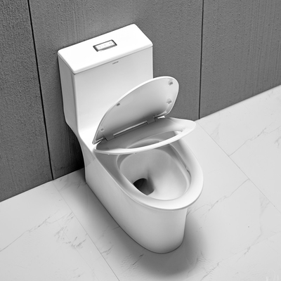 3.5L One Piece Toilets For Bathroom Dual Flush Modern