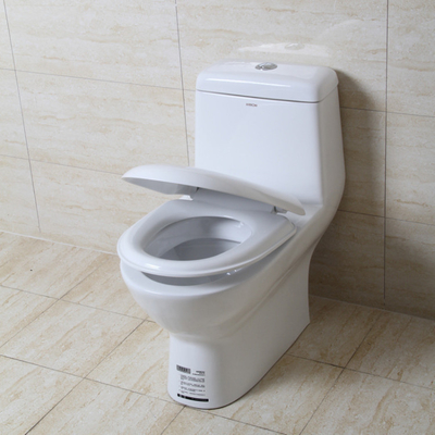 1 Piece Dual Flush Toilet Elongated Bowl 0.8/1.2 GPF Soft Closed Seat